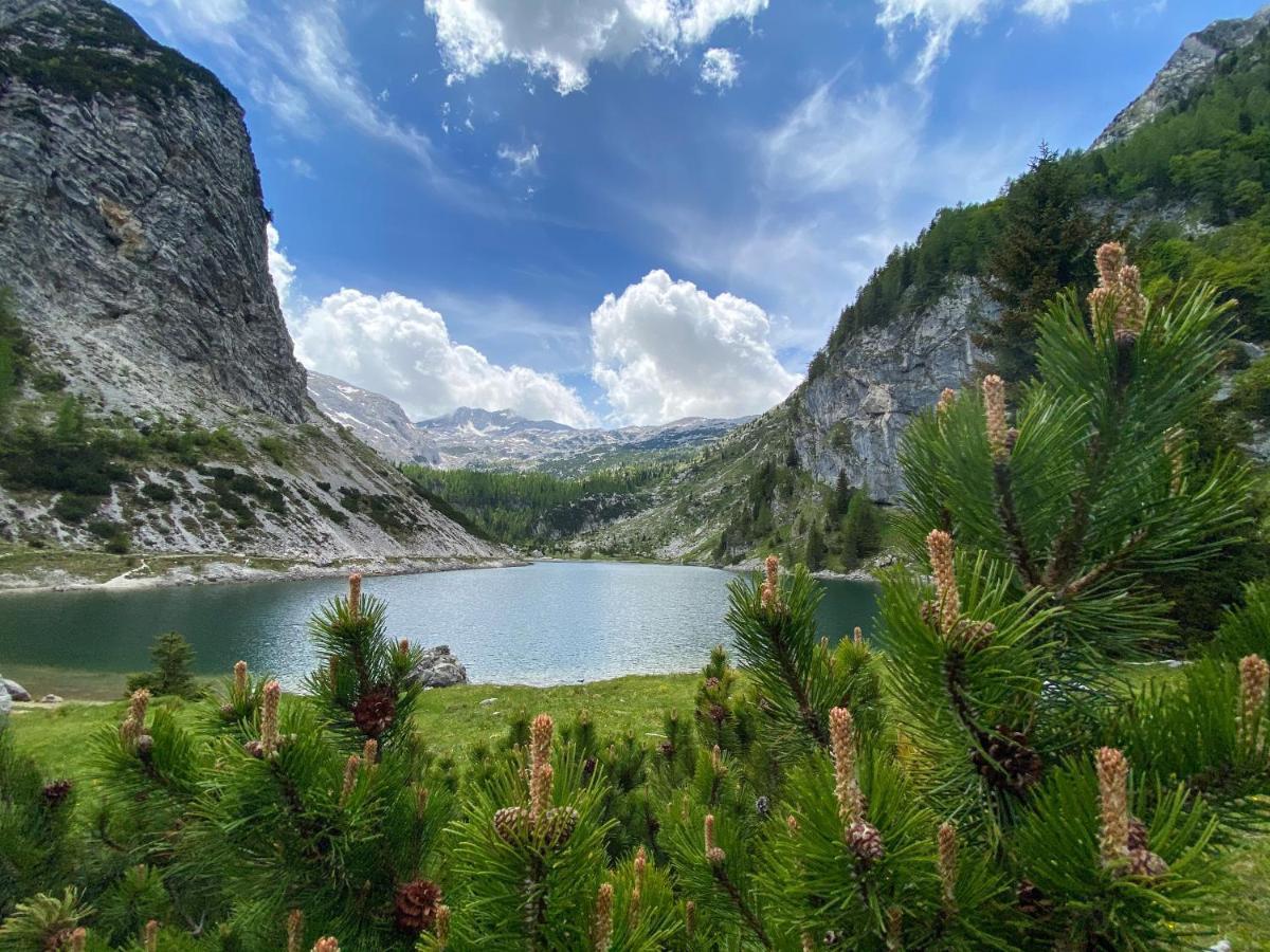 Isonzo Apartment Bovec Ngoại thất bức ảnh